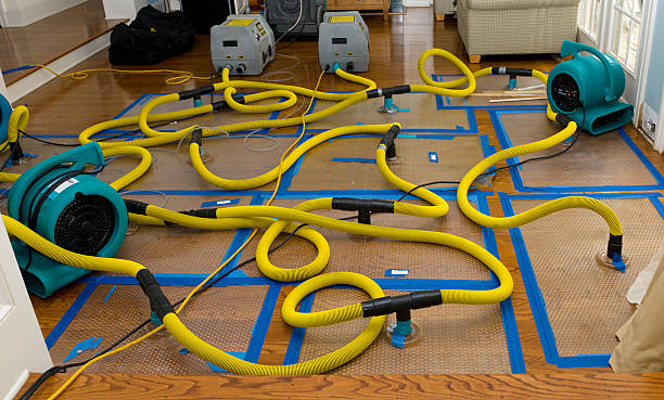 Professional Storm Water Damage Restoration technician working in Pineville, LA